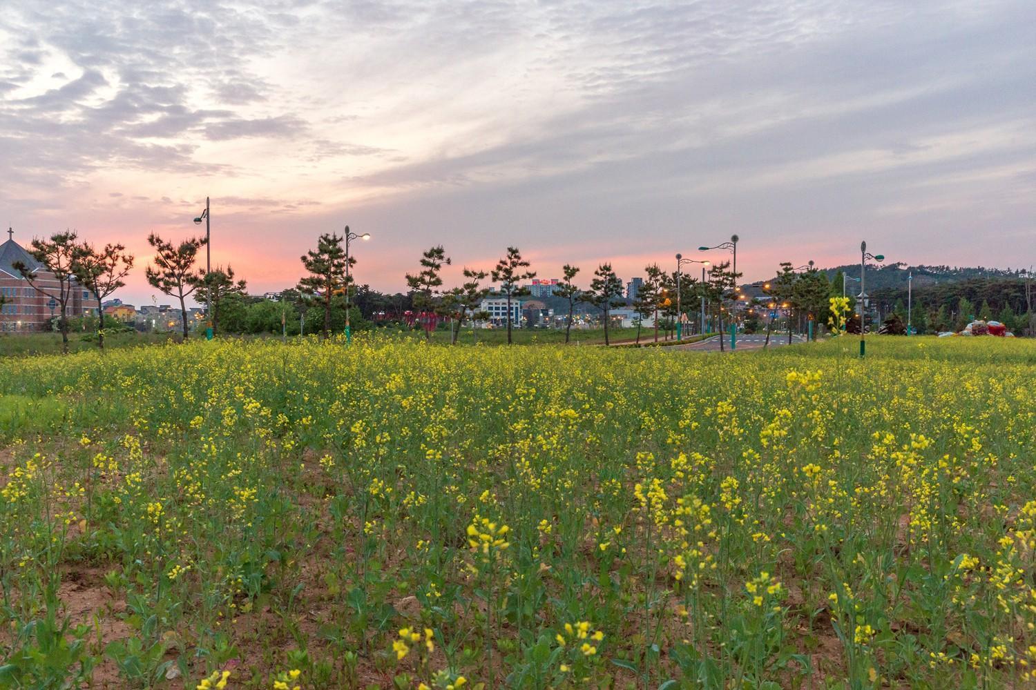 Daecheon Gyeoulyeonga Pension Boryeong Exterior foto