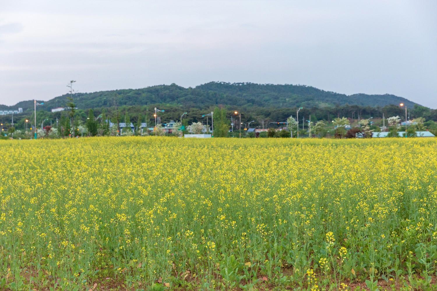 Daecheon Gyeoulyeonga Pension Boryeong Exterior foto